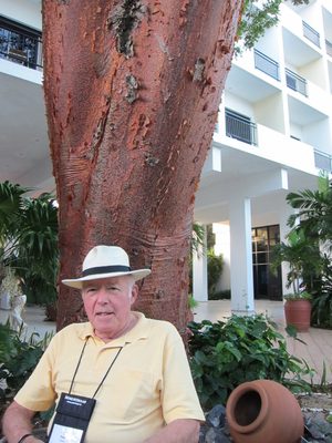 Dad in the outdoor gardens with an enormous...